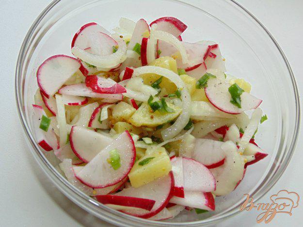 фото рецепта: Картофельный салат с редисом