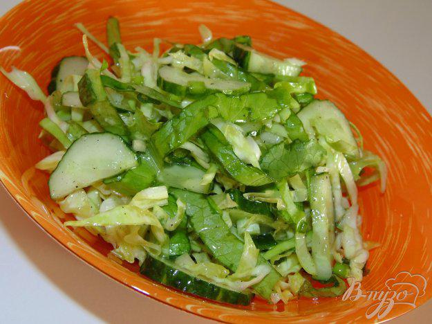 фото рецепта: Салат из молодой капусты с листьями салата