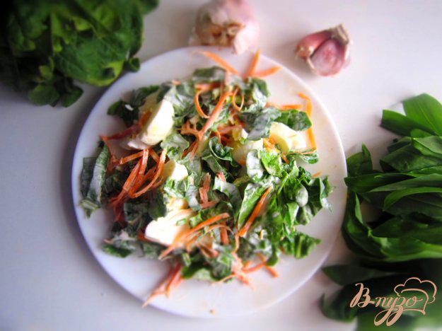 фото рецепта: Салат со свежим шпинатом