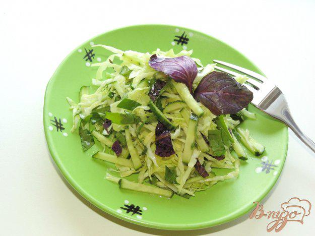 фото рецепта: Салат из молодой капусты со свежим базиликом и огурцом