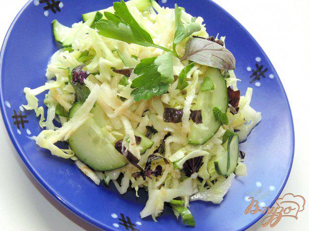 фото рецепта: Салат с сельдереем корневым и свежим базиликом