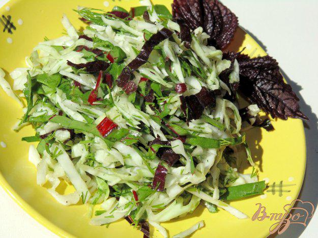 фото рецепта: Капустный салат с мангольдом и базиликом