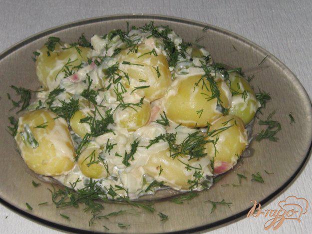 фото рецепта: Молодой картофель в сметанном соусе