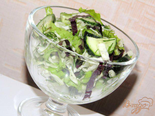 фото рецепта: Капустный салат с медово-уксусной заправкой