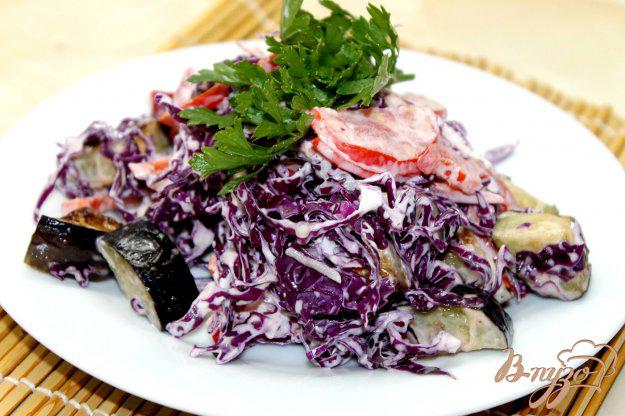 фото рецепта: Салат из краснокочанной капусты и жареных баклажан