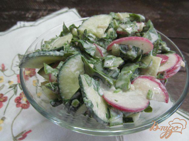 фото рецепта: Салат с ботвой редиса и щавелем