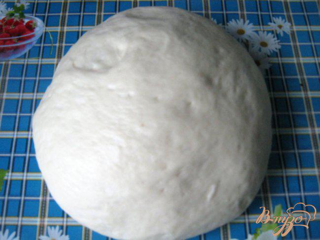 Фото приготовление рецепта: Брабантские хлебцы с домашними колбасками или Brabantse worstenbroodjes шаг №1