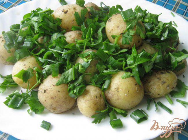 Фото приготовление рецепта: Картофель с пряными травами в микроволновке. шаг №6