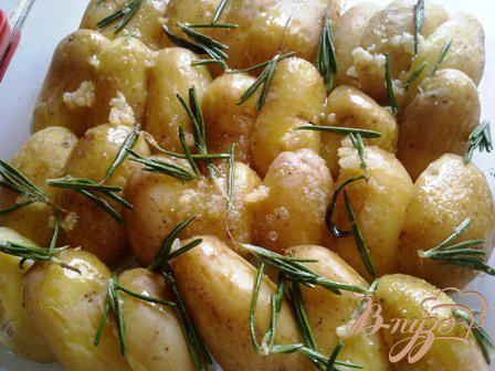 Фото приготовление рецепта: Запеченный картофель с чесноком и розмарином шаг №3