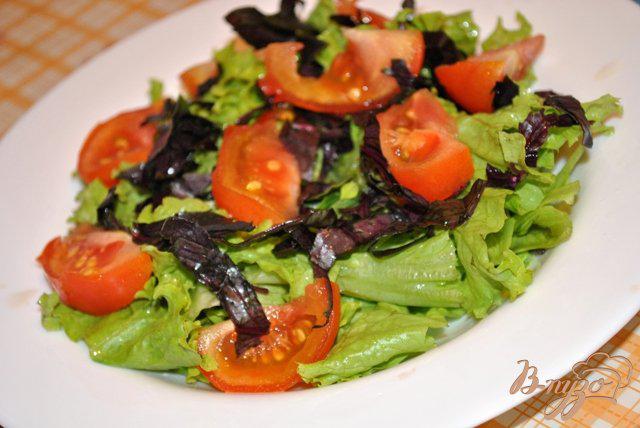 Фото приготовление рецепта: Салат с помидорами и моцарелой шаг №2
