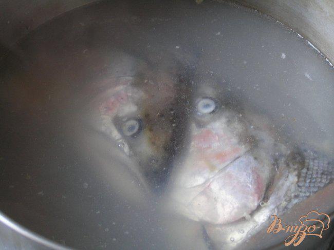 Фото приготовление рецепта: Рыбный бульон (из форели) шаг №1