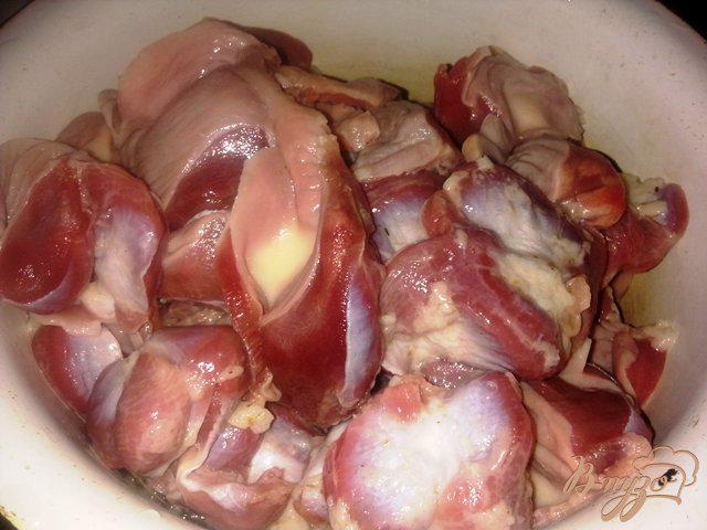Фото приготовление рецепта: Rotini (спиральки) с тушеными куриными желудочками шаг №1