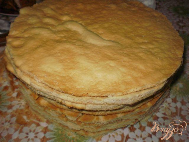 Фото приготовление рецепта: Нежный торт «Медовик» шаг №9