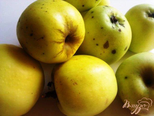 Фото приготовление рецепта: Яблочное пюре шаг №1
