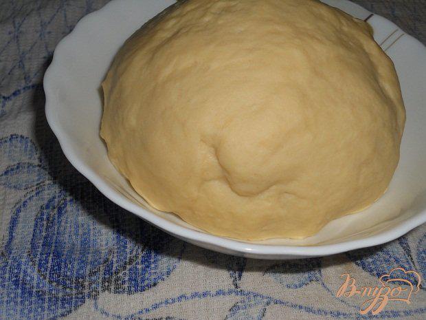 Фото приготовление рецепта: Мясной пирог шаг №2