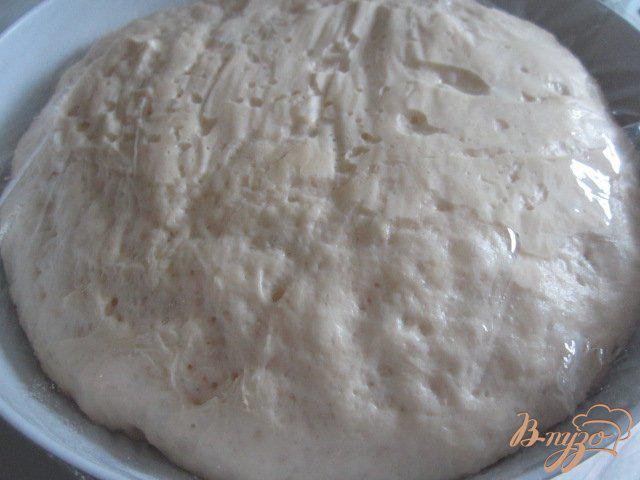 Фото приготовление рецепта: Хлеб из Тичино (Pane Ticinese) шаг №2