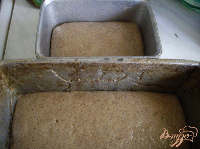 Фото приготовление рецепта: Вкус довоенного хлеба. Ржаной заварной хлеб 1939 года. шаг №5