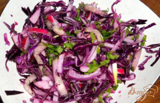 Фото приготовление рецепта: Салат из краснокочанной капусты, огурца и редиса шаг №3