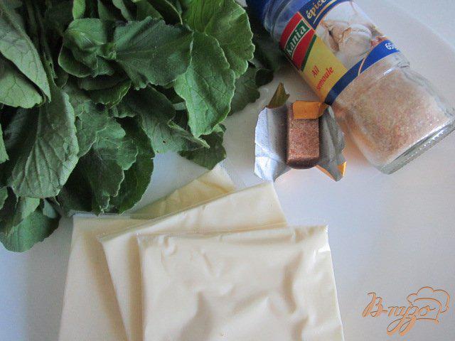 Фото приготовление рецепта: Соус из ботвы редиски шаг №1