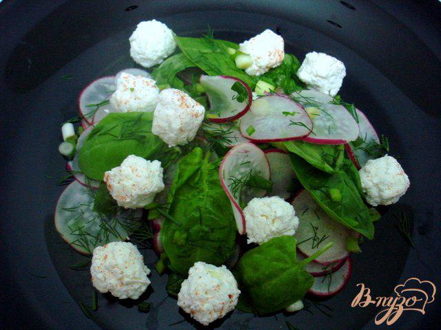 Фото приготовление рецепта: Салат из редиса и шариков феты шаг №3