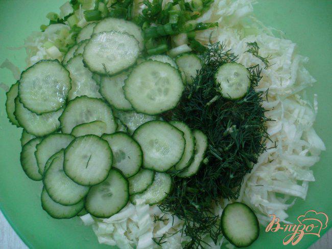 Фото приготовление рецепта: Салат из пекинской капусты в кисло сладкой заправке шаг №1