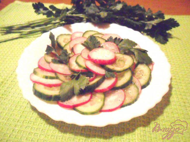 Фото приготовление рецепта: Салат из редиса и огурцов под восточной заправкой шаг №4