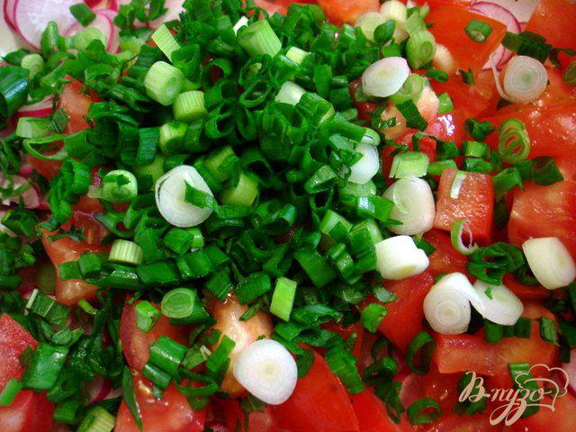 Фото приготовление рецепта: Салат из редиса, помидоров и мяты шаг №5