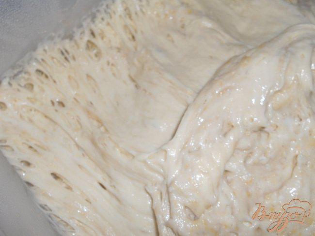 Фото приготовление рецепта: Хлебная закваска - натуральные дрожжи шаг №3