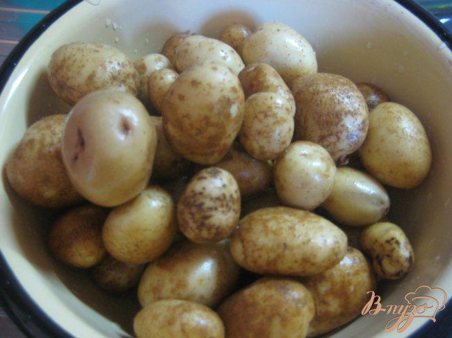 Фото приготовление рецепта: Картофель молодой с базиликом шаг №1