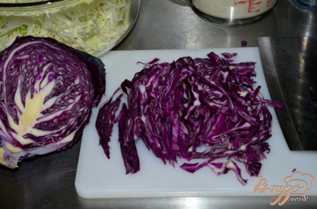 Фото приготовление рецепта: Пряный салат из капусты шаг №1