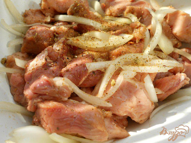 Фото приготовление рецепта: Свиной шашлык на сковороде-гриль шаг №2
