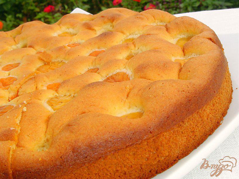 Фото приготовление рецепта: Бисквитный пирог с медом и абрикосами шаг №6