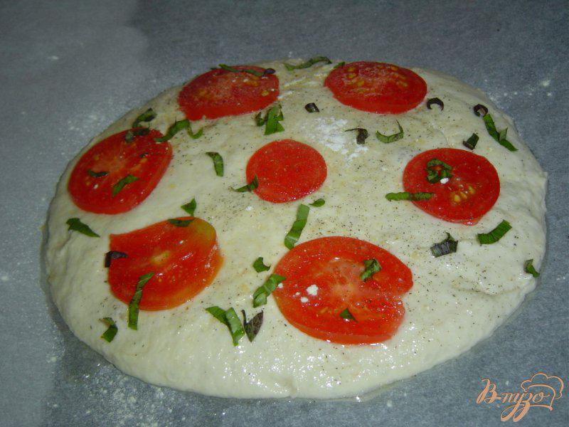 Фото приготовление рецепта: Великолепная лепешка с помидорами шаг №6