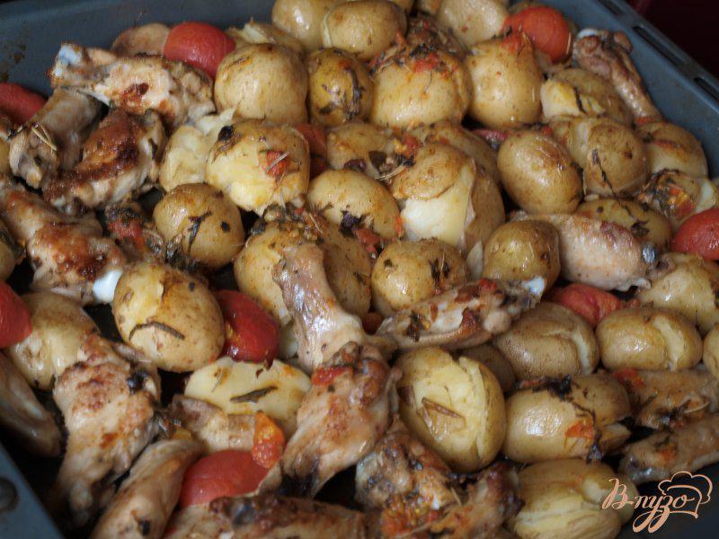 Фото приготовление рецепта: Куриные крылышки запечённые с картофелем и помидорами шаг №5