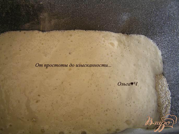 Фото приготовление рецепта: Хлеб с овсяными хлопьями шаг №3