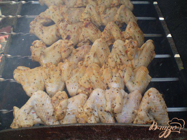 Фото приготовление рецепта: Крылья в томате с базиликом шаг №5