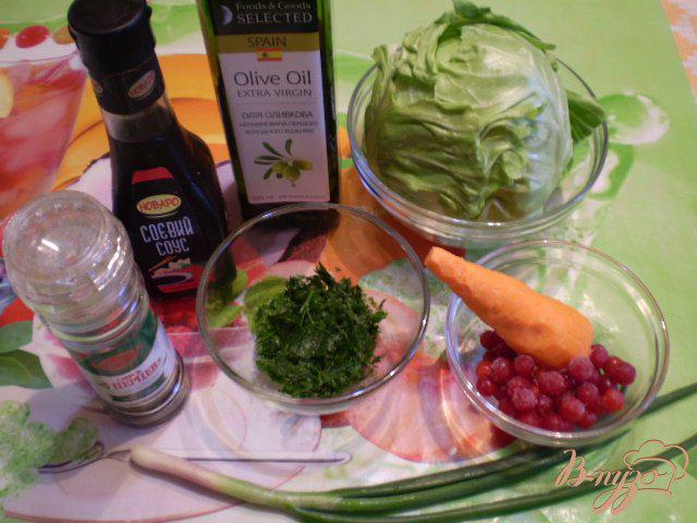 Фото приготовление рецепта: Салат из капусты молодой, моркови и калины шаг №1