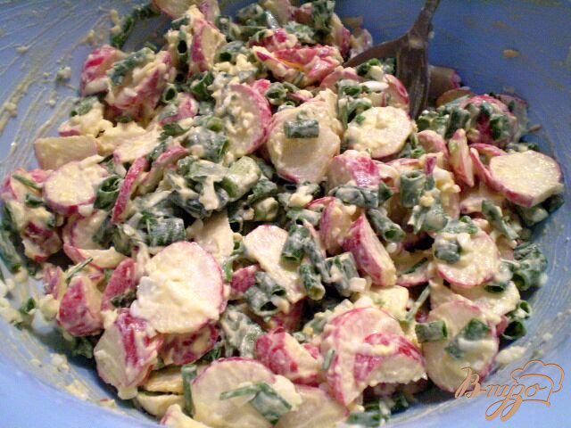 Фото приготовление рецепта: Салат из редиса и мяты шаг №5