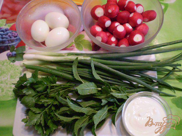 Фото приготовление рецепта: Салат из редиса и мяты шаг №1