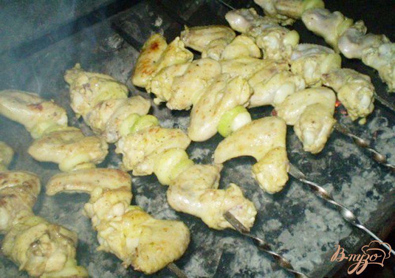 Фото приготовление рецепта: Куриные крылья на мангале шаг №5