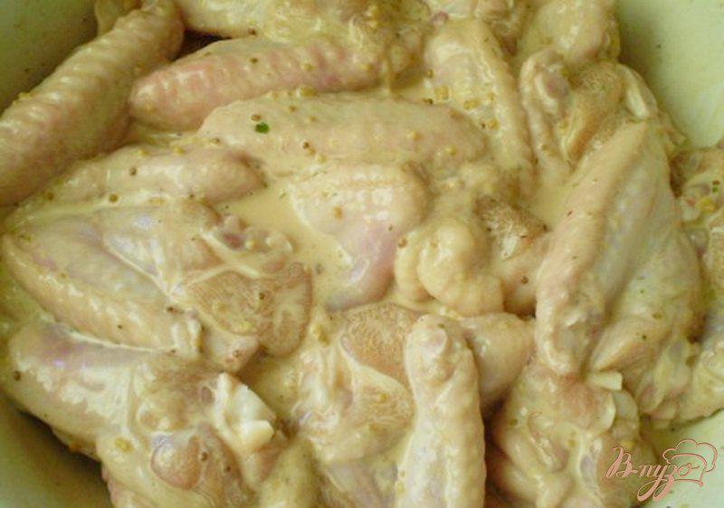 Фото приготовление рецепта: Куриные крылышки в соевом соусе с горчицей шаг №4