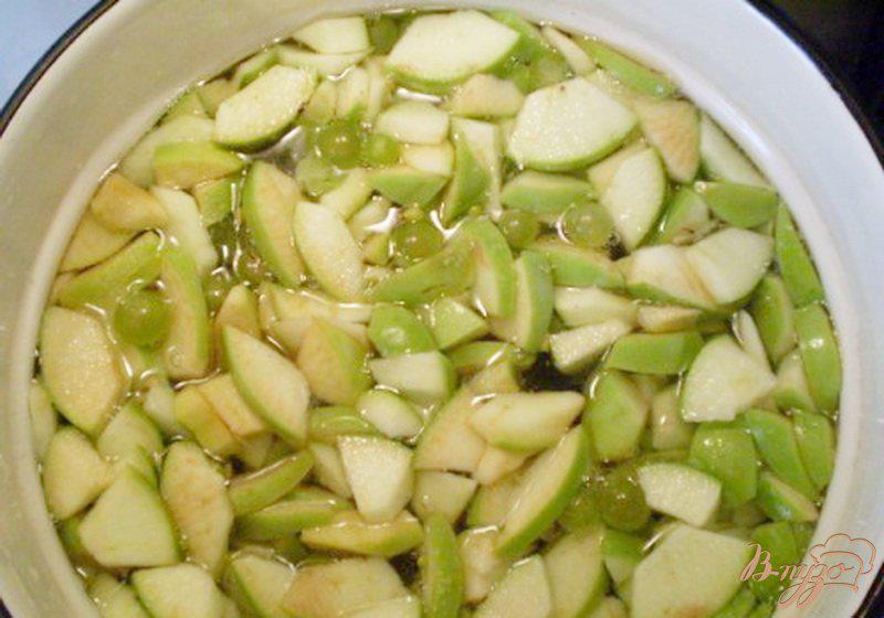 Фото приготовление рецепта: Компот из яблок, винограда с мятой и эхинацеей шаг №2