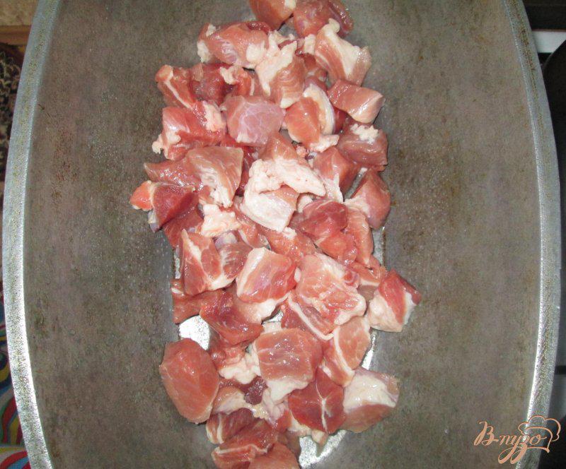 Фото приготовление рецепта: Плов со свининой шаг №2