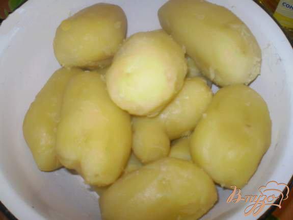 Фото приготовление рецепта: Зразы картофельные с сыром шаг №1