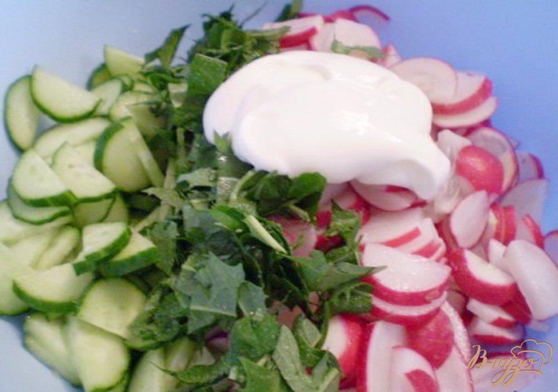 Фото приготовление рецепта: Овощной салат с листьями одуванчика и сметаной шаг №2