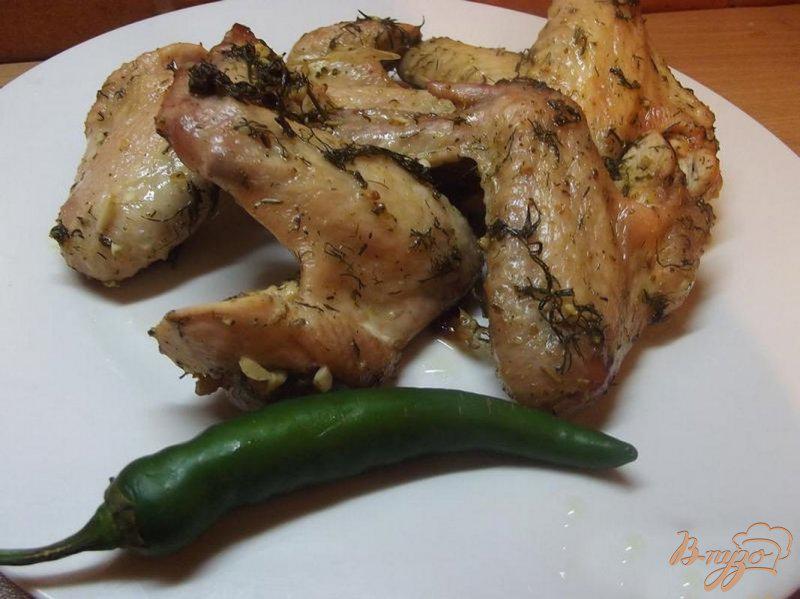 Фото приготовление рецепта: Куриные крылышки в кислом маринаде шаг №5