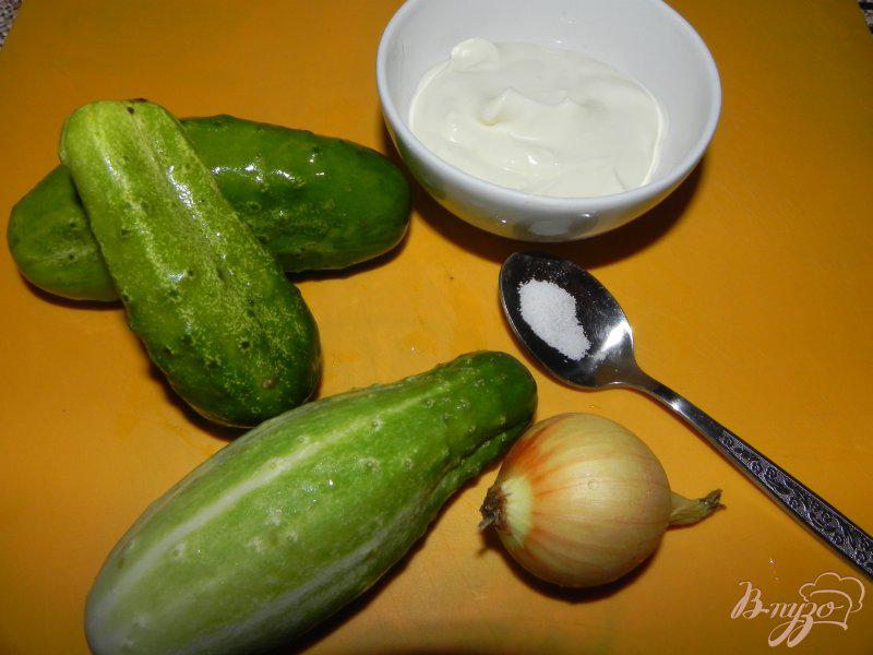 Фото приготовление рецепта: Огуречный салат с луком и сметаной шаг №1