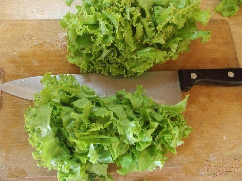 Фото приготовление рецепта: Французский салат из зелени шаг №3