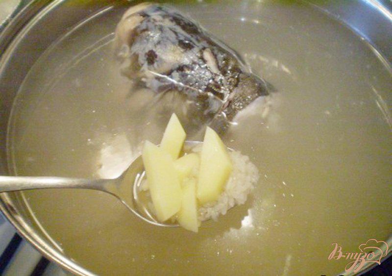 Фото приготовление рецепта: Суп из головы толстолобика шаг №4