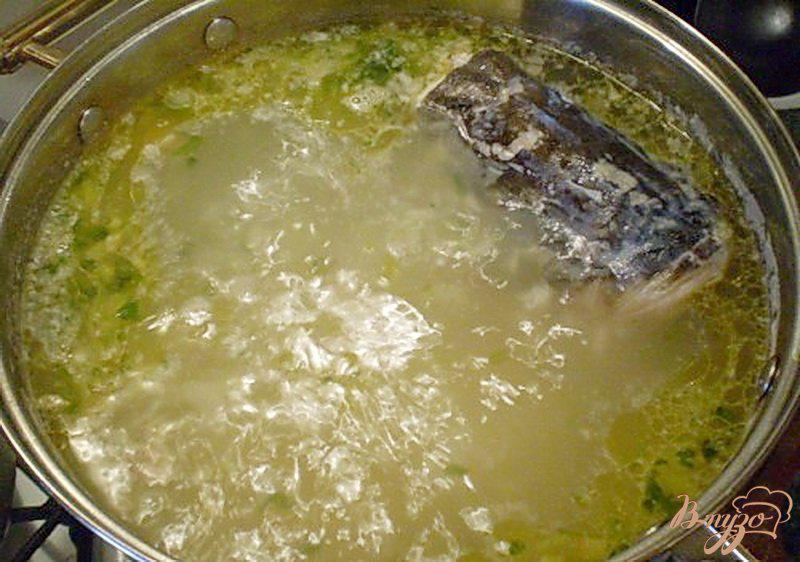 Фото приготовление рецепта: Суп из головы толстолобика шаг №6